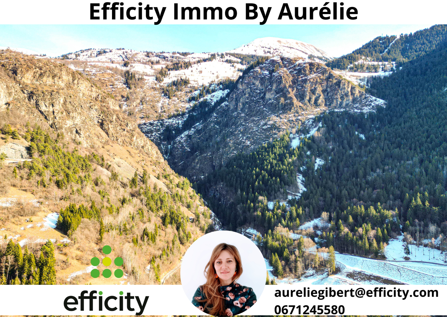 Achat immobilier Terrain   2900m2 à Le Bourg-d'Oisans (38520) - Photo n°10