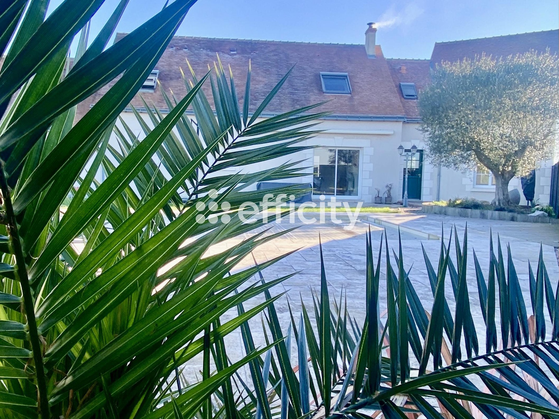 Achat immobilier Maison 10 pièces  210m2 à Saint-Laurent-en-Gâtines (37380) - Photo n°1