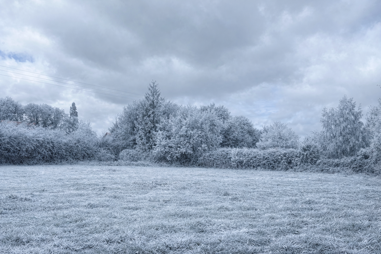 Achat immobilier Terrain   1255m2 à Boulleville (27210) - Photo n°1