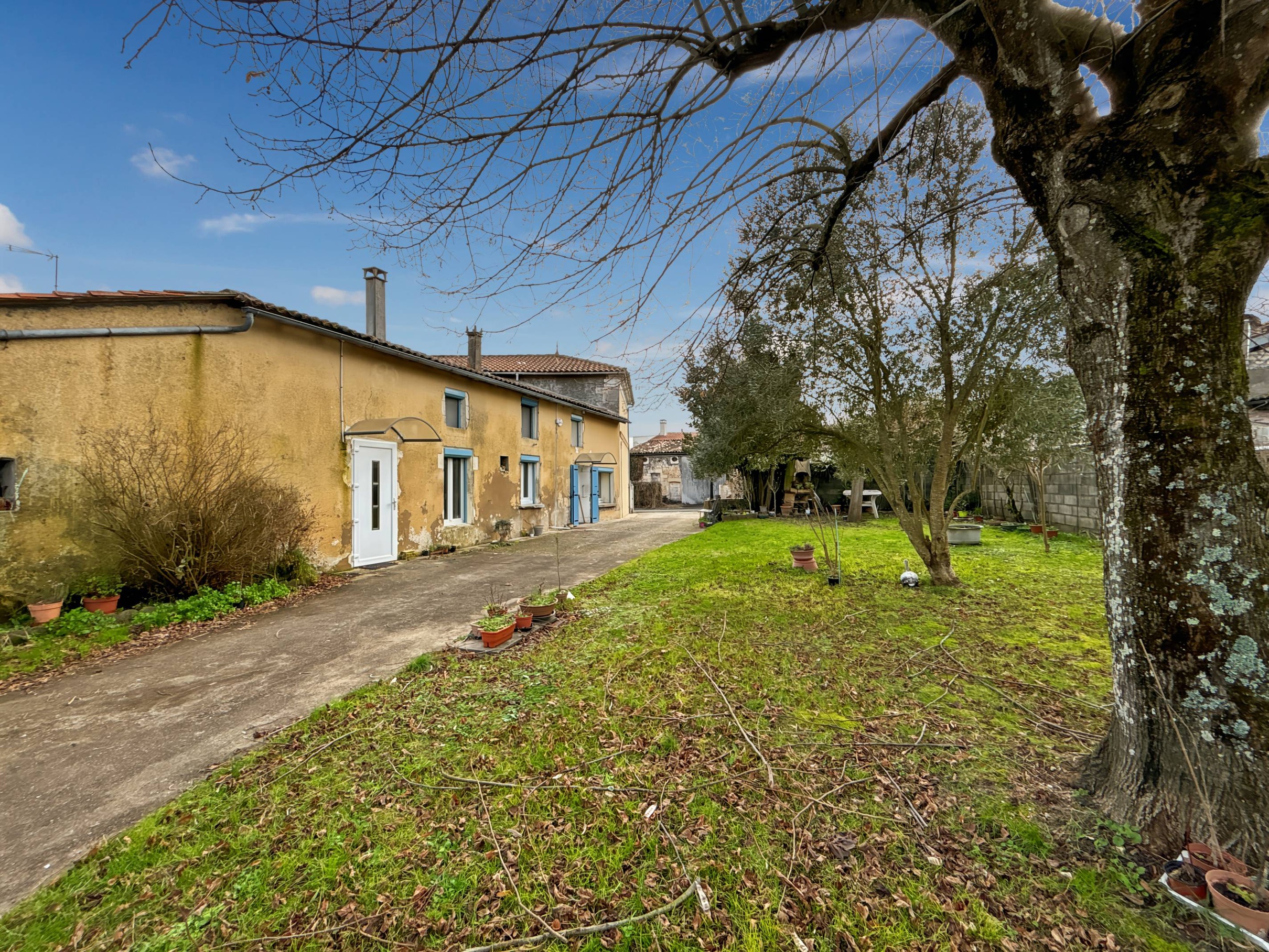 Achat immobilier Maison 7 pièces  200m2 à Sainte-Ramée (17240) - Photo n°4