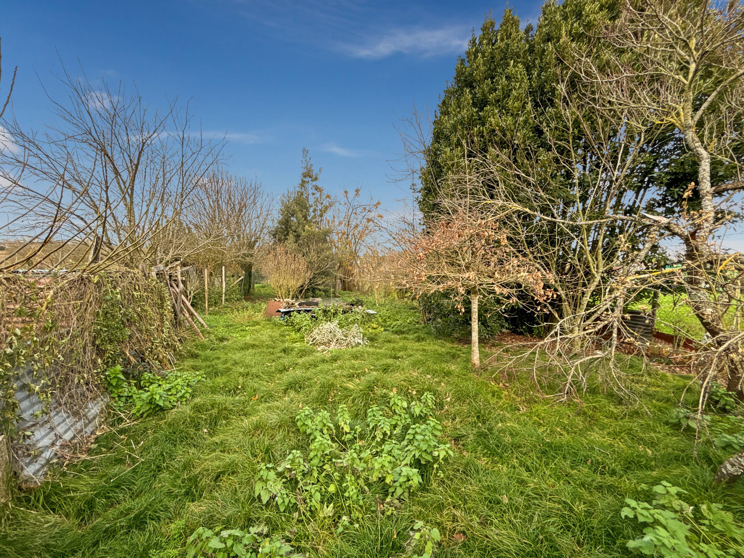 Achat immobilier Maison 7 pièces  200m2 à Sainte-Ramée (17240) - Photo n°5