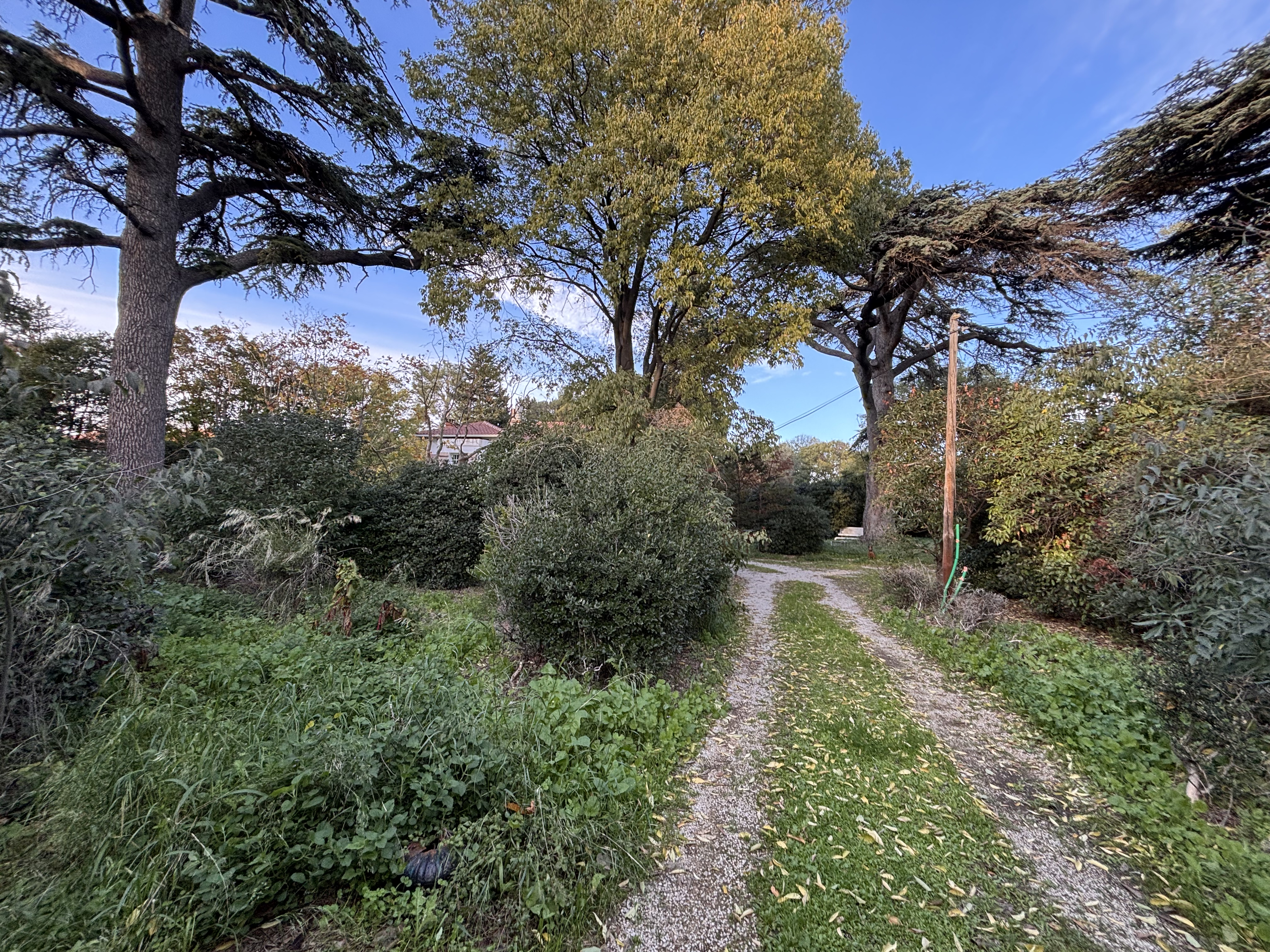 Achat immobilier Maison 5 pièces  240m2 à Marseille (13012) - Photo n°1