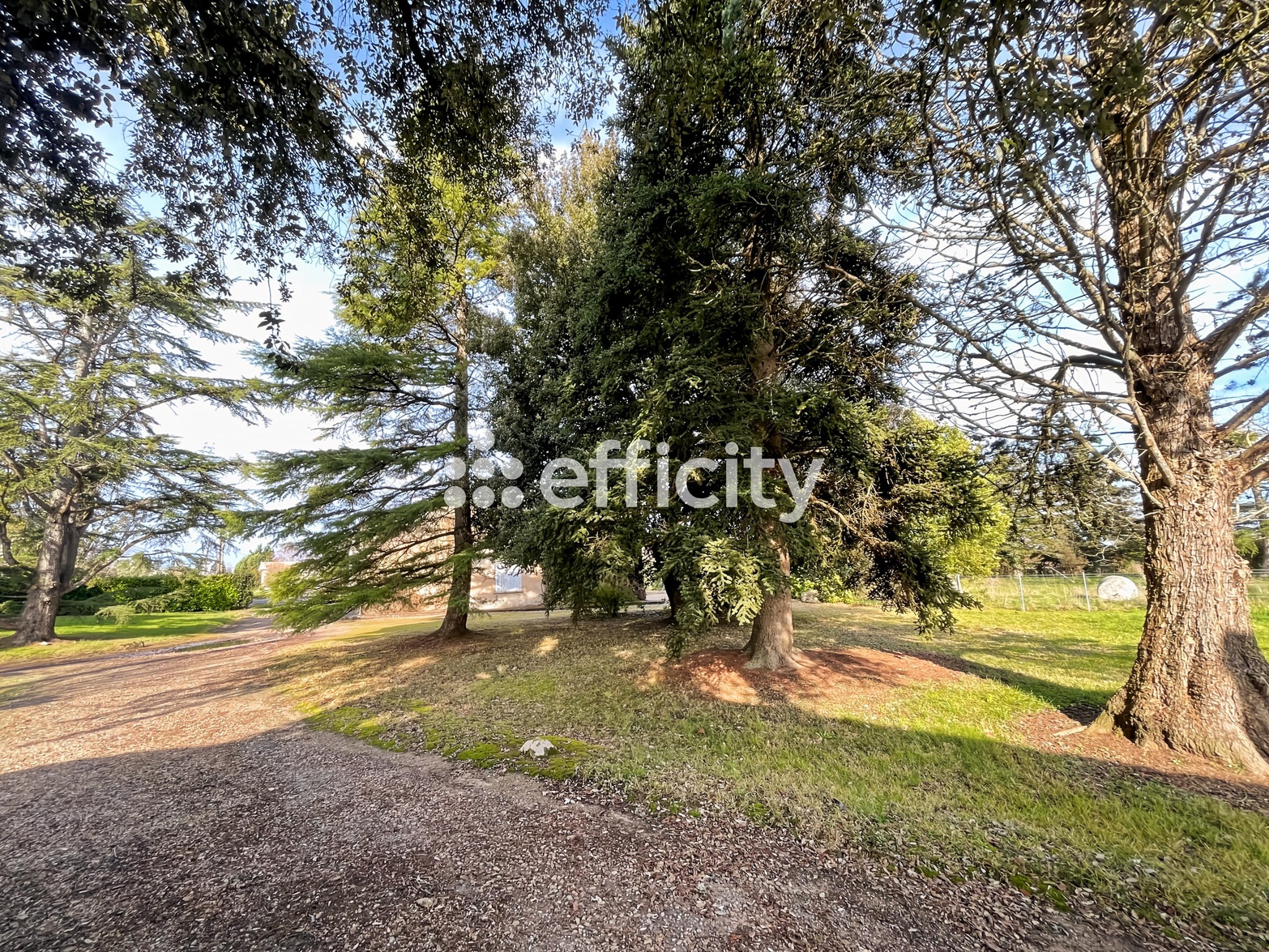 maison 4 pièces - 161m2 à Lussac (33570)