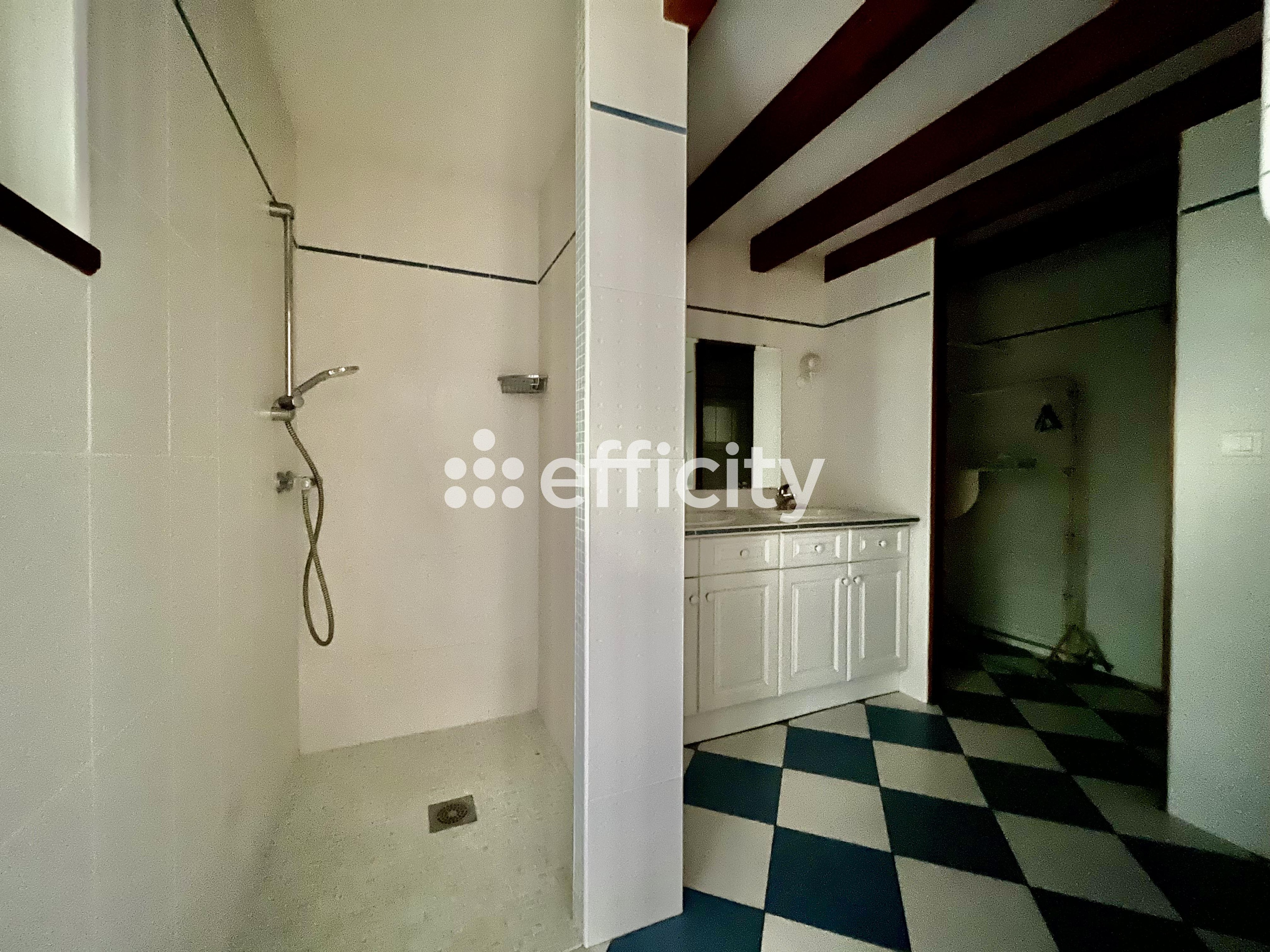 Achat immobilier Maison 6 pièces  205m2 à Bois (17240) - Photo n°10