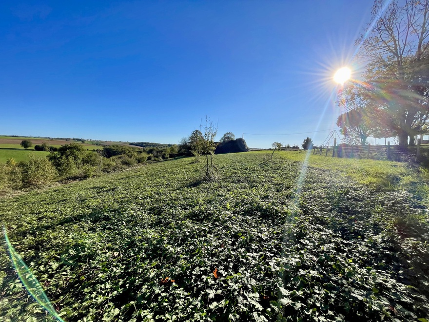 terrain  - 11232,0m2 à Bellegarde-Marsal (81430)