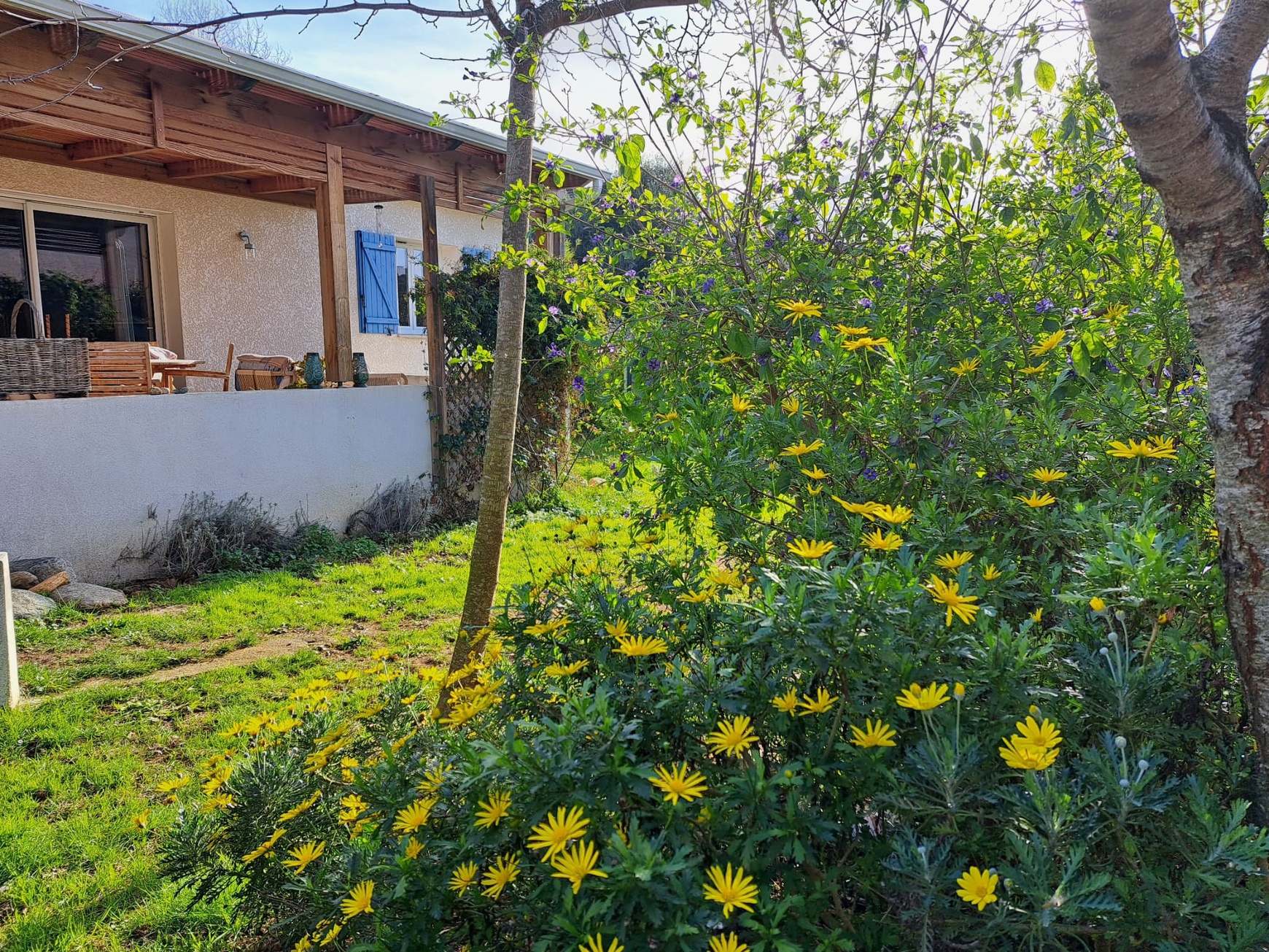 Achat immobilier Maison 3 pièces  68m2 à Patrimonio (20253) - Photo n°9