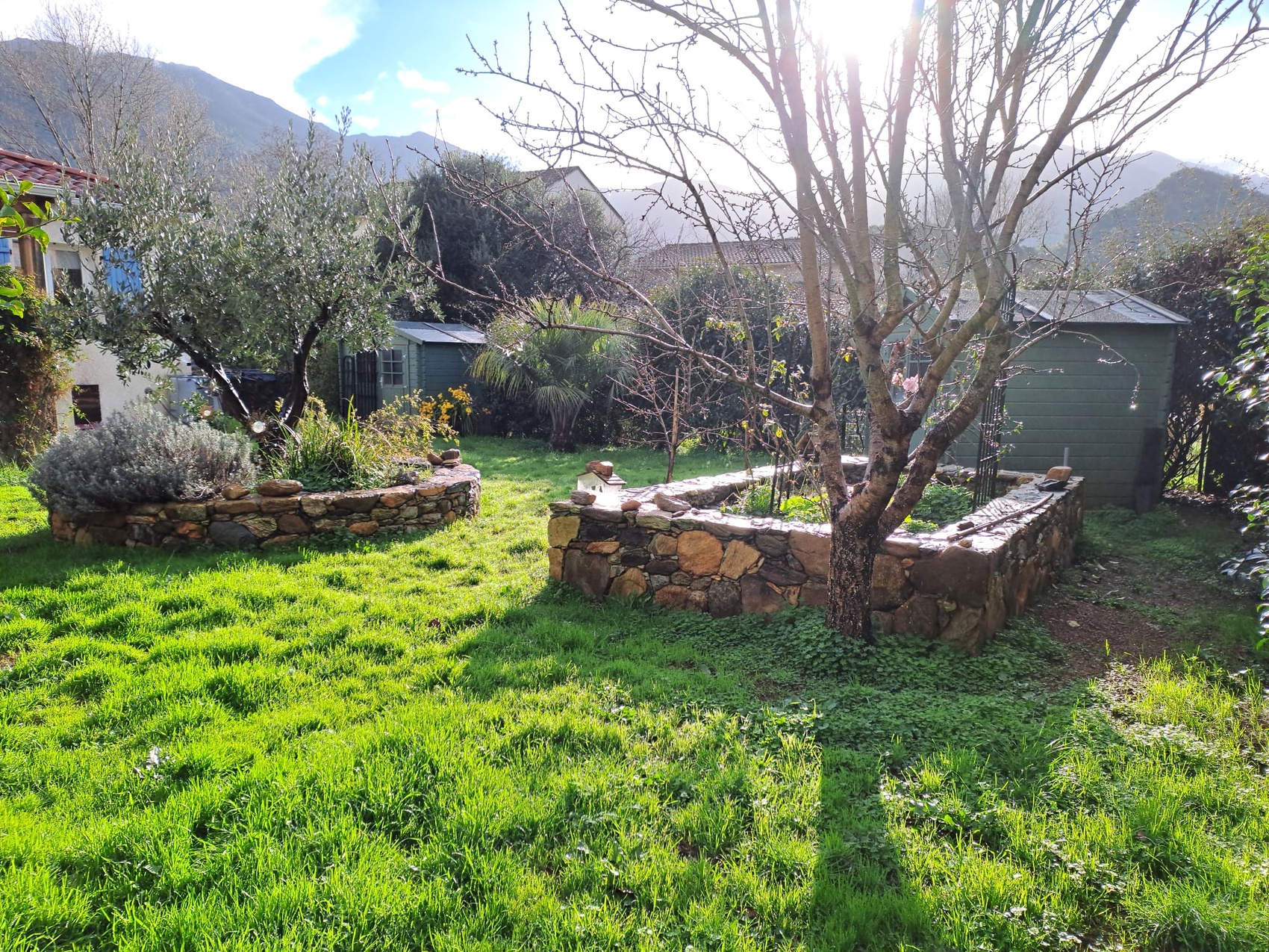 Achat immobilier Maison 3 pièces  68m2 à Patrimonio (20253) - Photo n°16