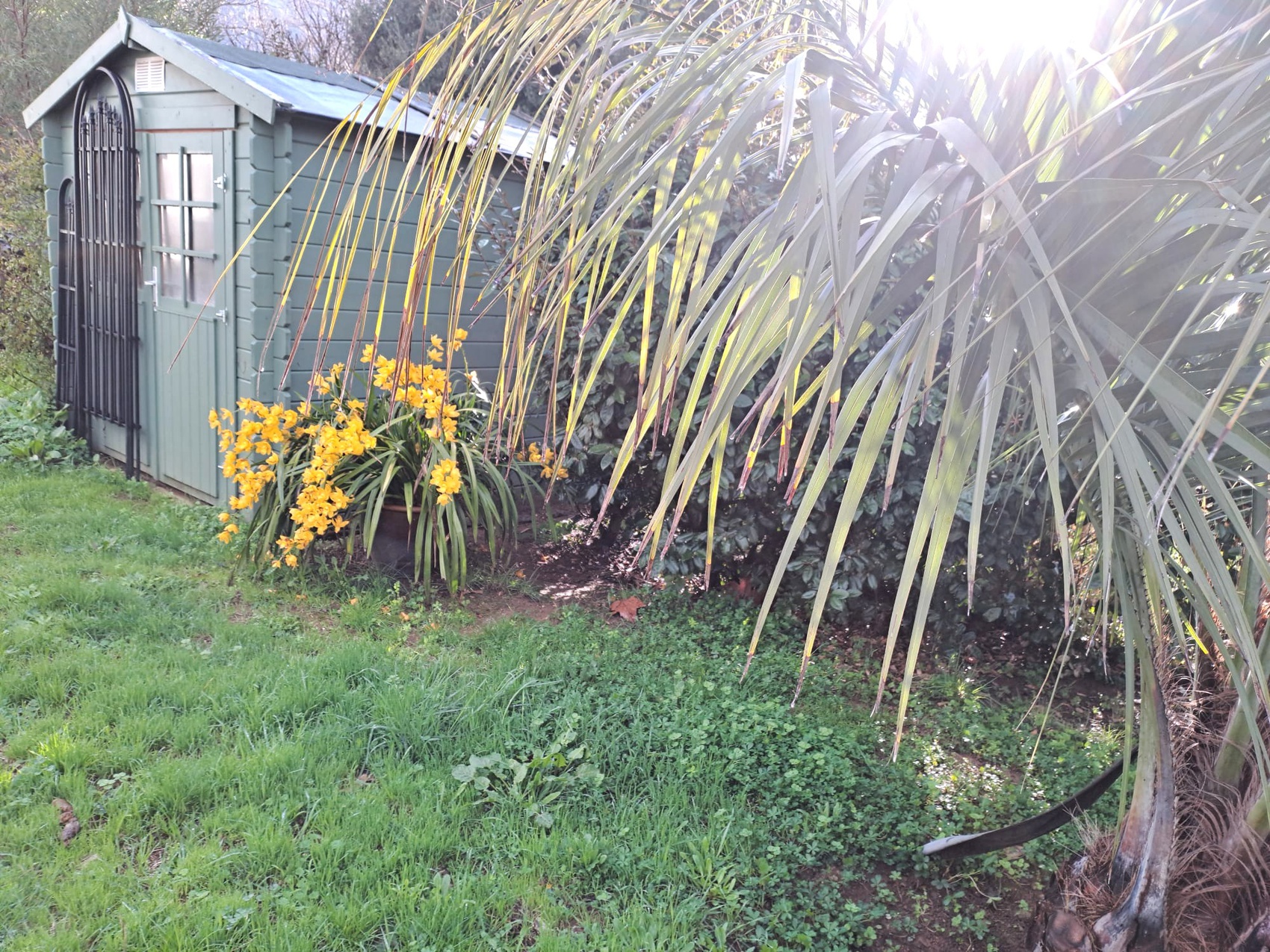 Achat immobilier Maison 3 pièces  68m2 à Patrimonio (20253) - Photo n°6