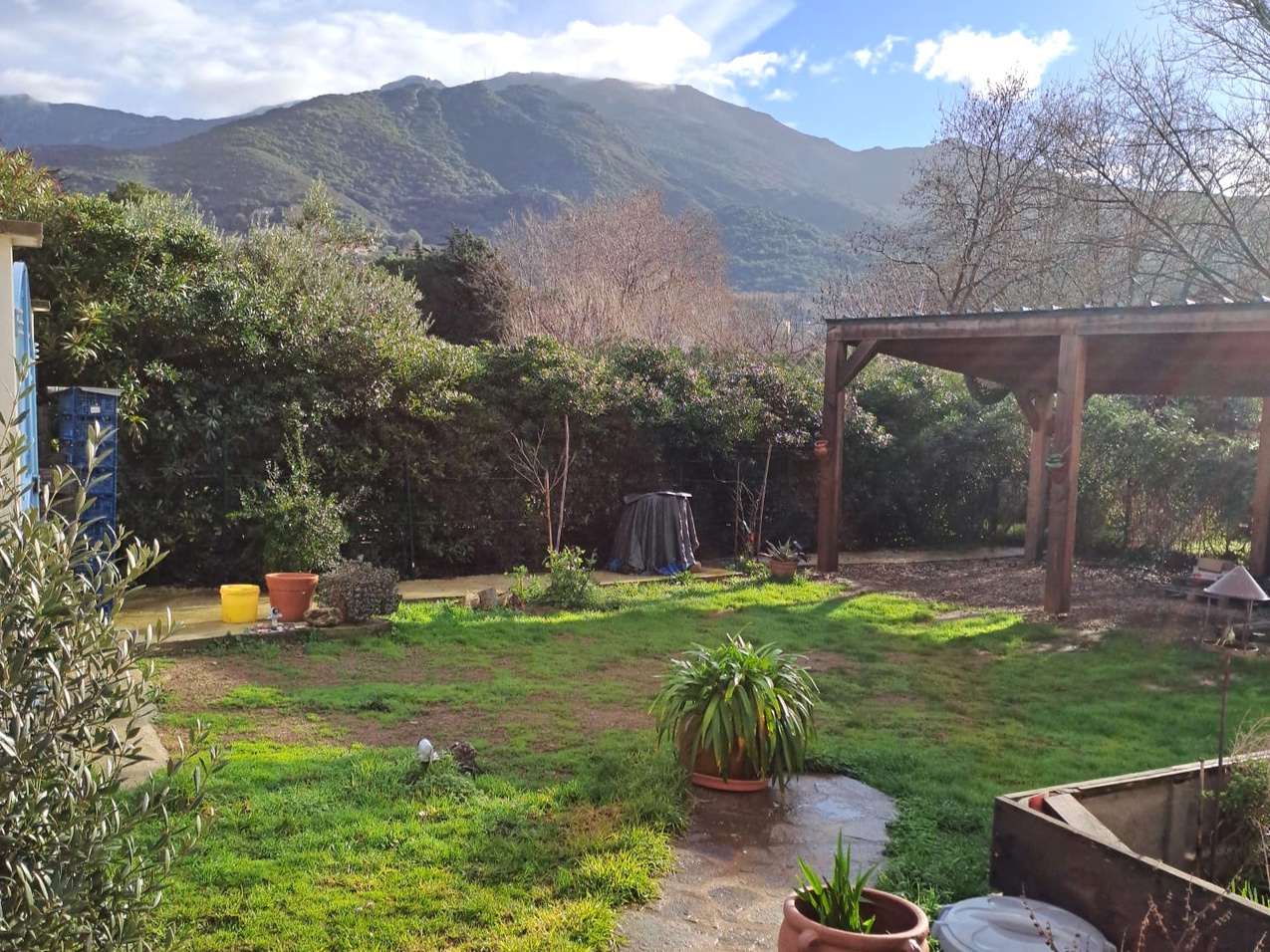 Achat immobilier Maison 3 pièces  68m2 à Patrimonio (20253) - Photo n°5