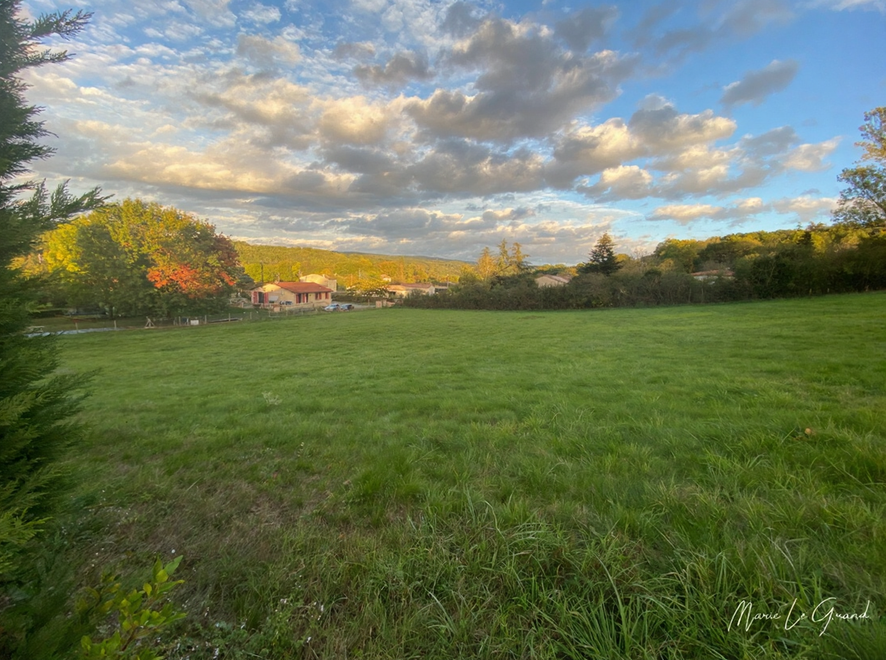 terrain  - 4881,0m2 à Castres (81100)