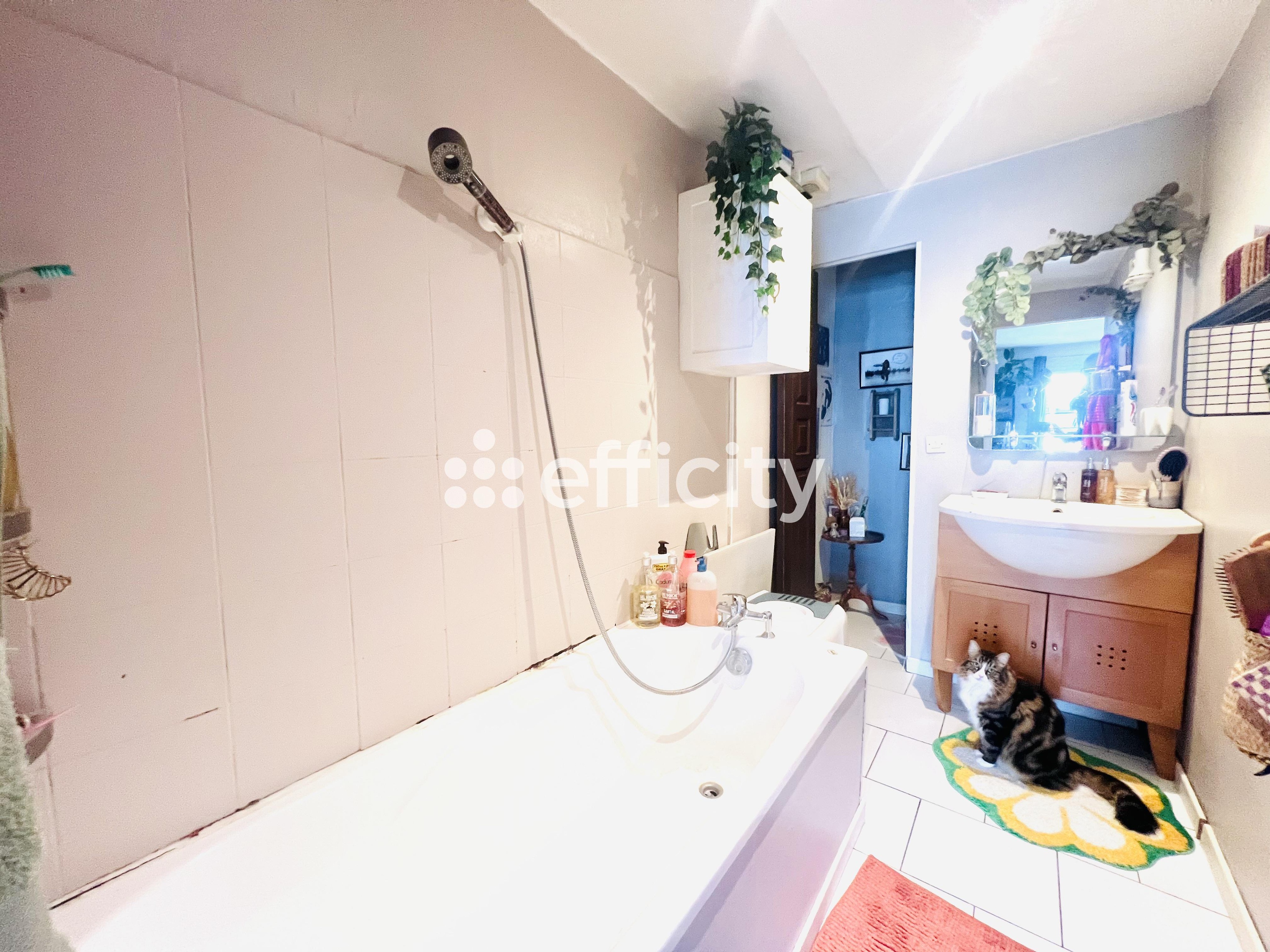 Achat immobilier Appartement 3 pièces  63m2 à Tours (37000) - Photo n°6