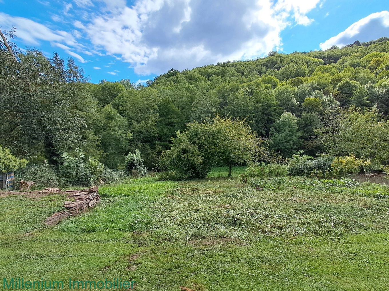 Achat immobilier Maison 5 pièces  108m2 à Laval-Roquecezière (12380) - Photo n°11