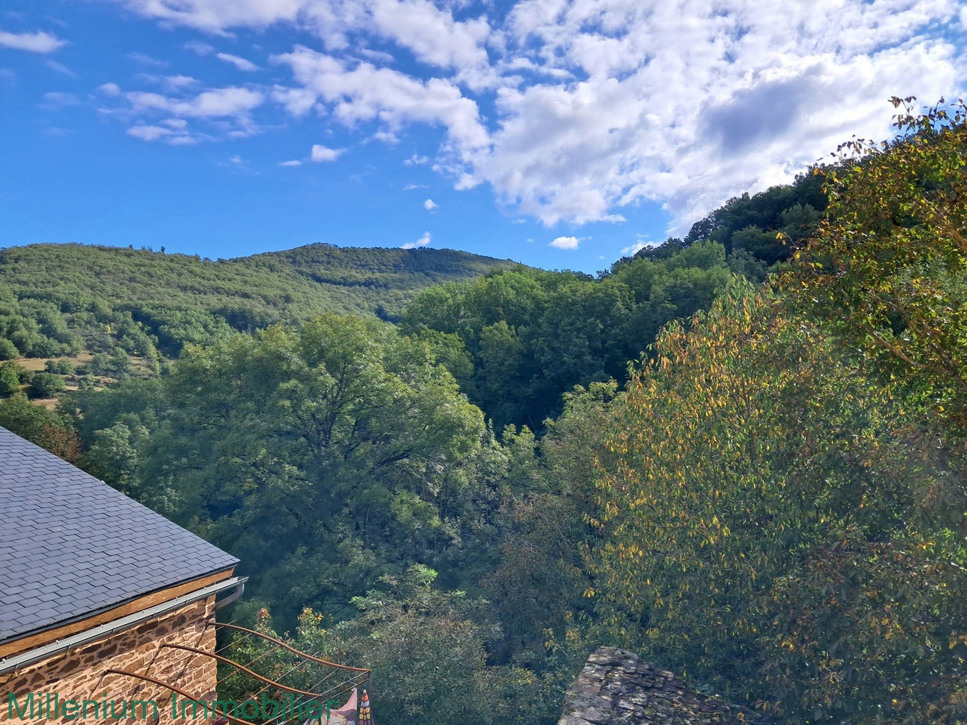 Achat immobilier Maison 5 pièces  108m2 à Laval-Roquecezière (12380) - Photo n°9