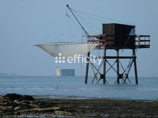 Achat immobilier Terrain   350m2 à Fouras (17450) - Photo n°1