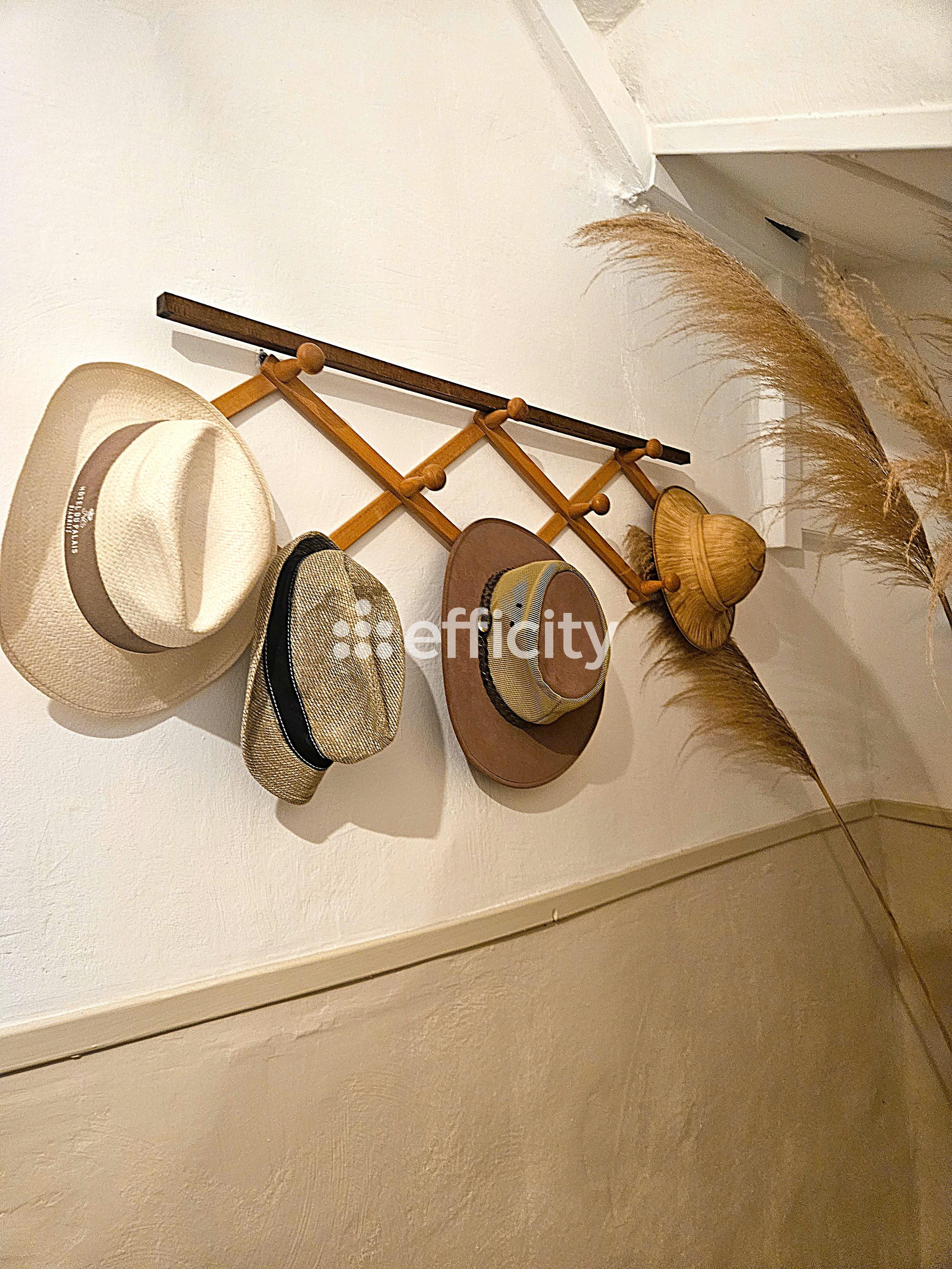 Achat immobilier Maison 5 pièces  130m2 à Fontès (34320) - Photo n°4