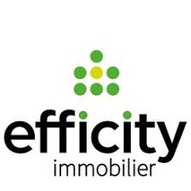 Achat immobilier Terrain   1065m2 à Monthodon (37110) - Photo n°5