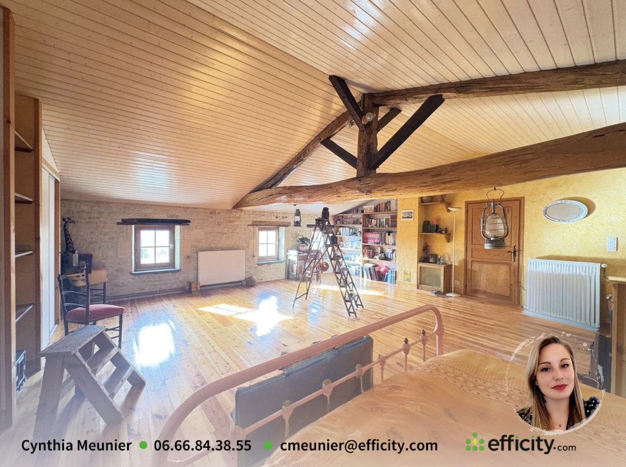 Achat immobilier Maison 5 pièces  160m2 à Thors (17160) - Photo n°10