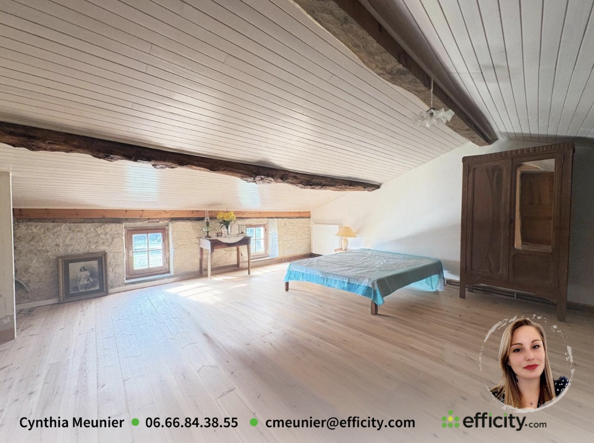 Achat immobilier Maison 5 pièces  160m2 à Thors (17160) - Photo n°9