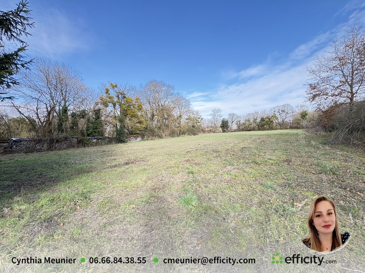 Achat immobilier Maison 5 pièces  160m2 à Thors (17160) - Photo n°14