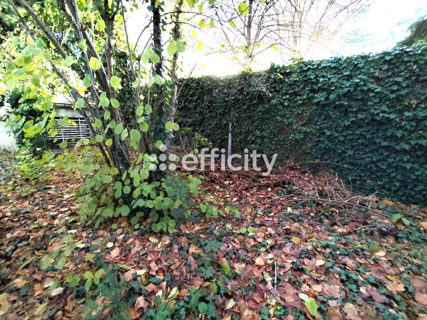 Achat immobilier Maison 6 pièces  174m2 à Rambouillet (78120) - Photo n°5