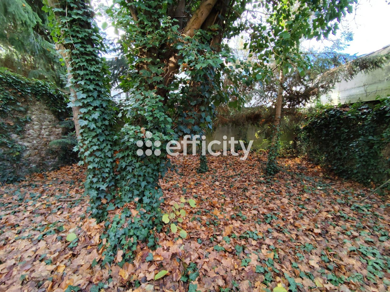 Achat immobilier Maison 6 pièces  174m2 à Rambouillet (78120) - Photo n°4