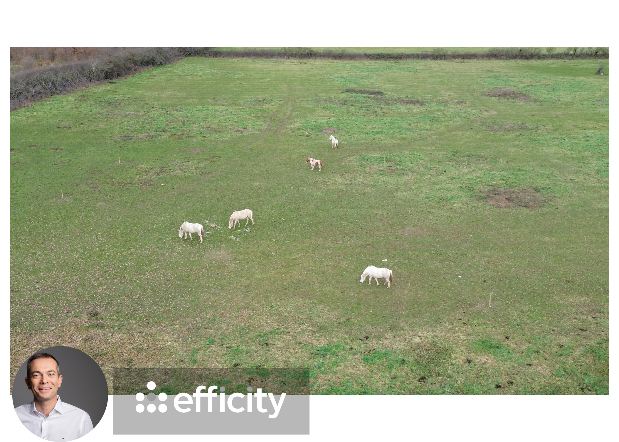Achat immobilier Terrain   853m2 à Vaux (03190) - Photo n°5