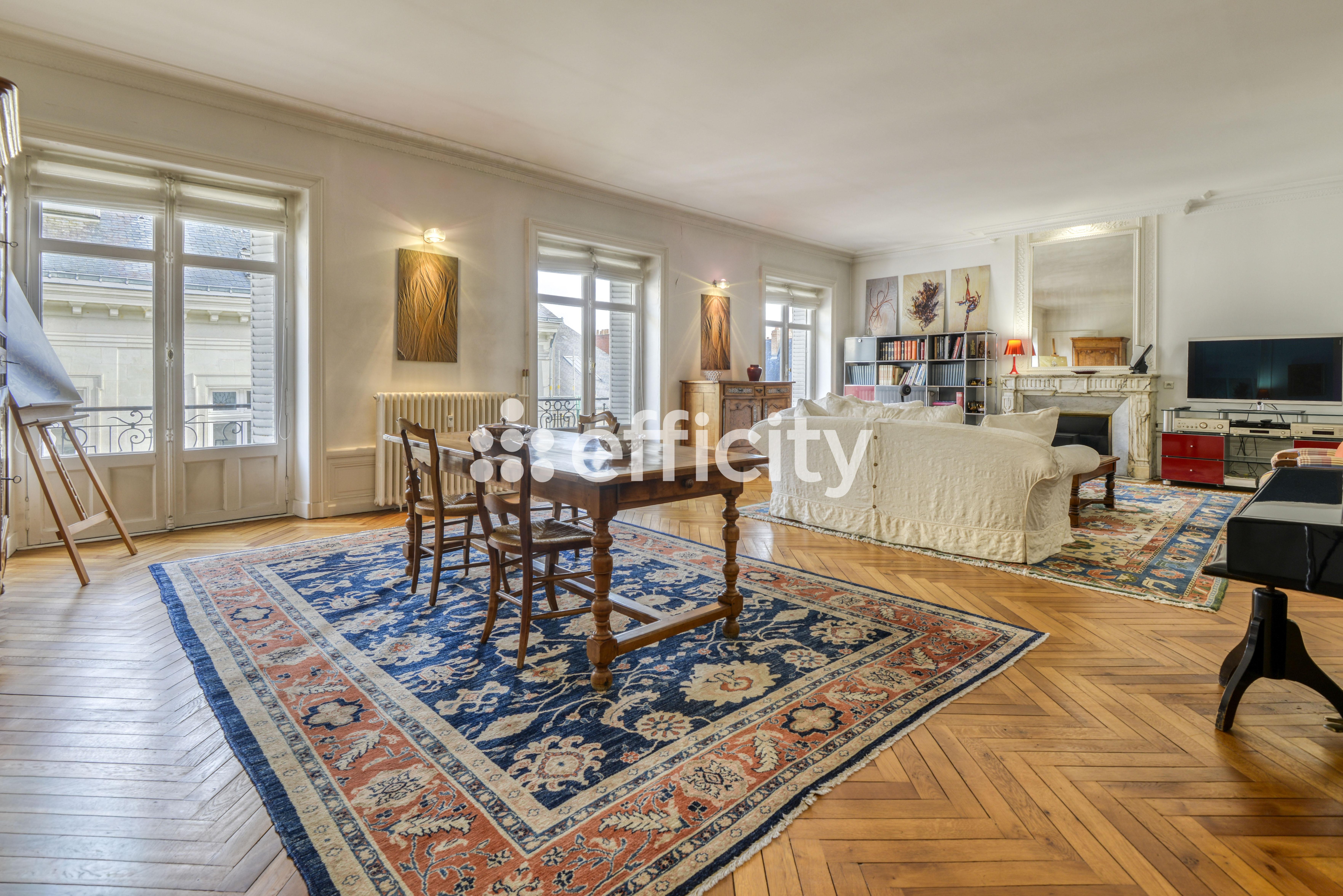 Achat immobilier Appartement 5 pièces  231m2 à Nantes (44000) - Photo n°4