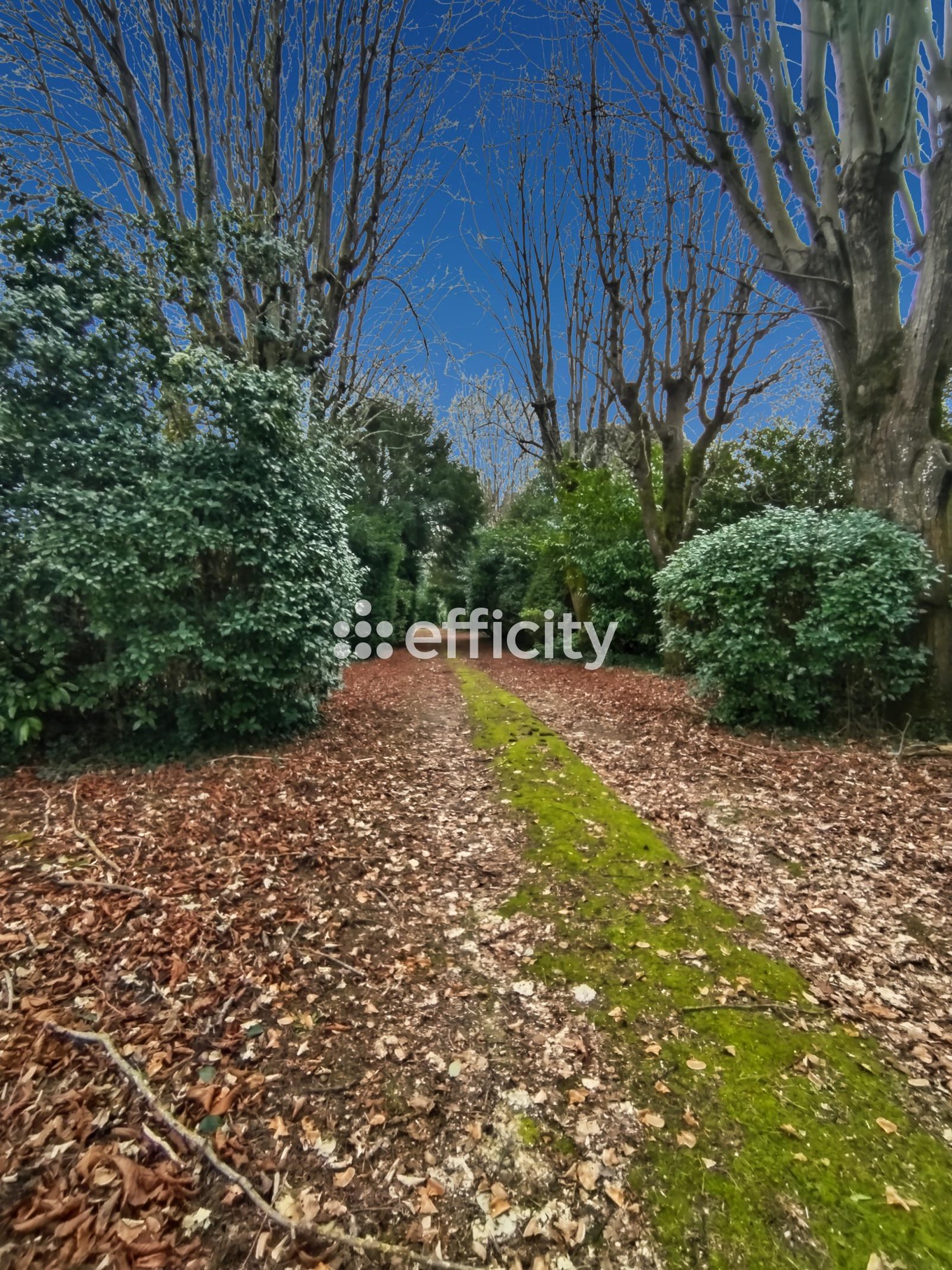 Achat immobilier Maison 15 pièces  425m2 à Réparsac (16200) - Photo n°18