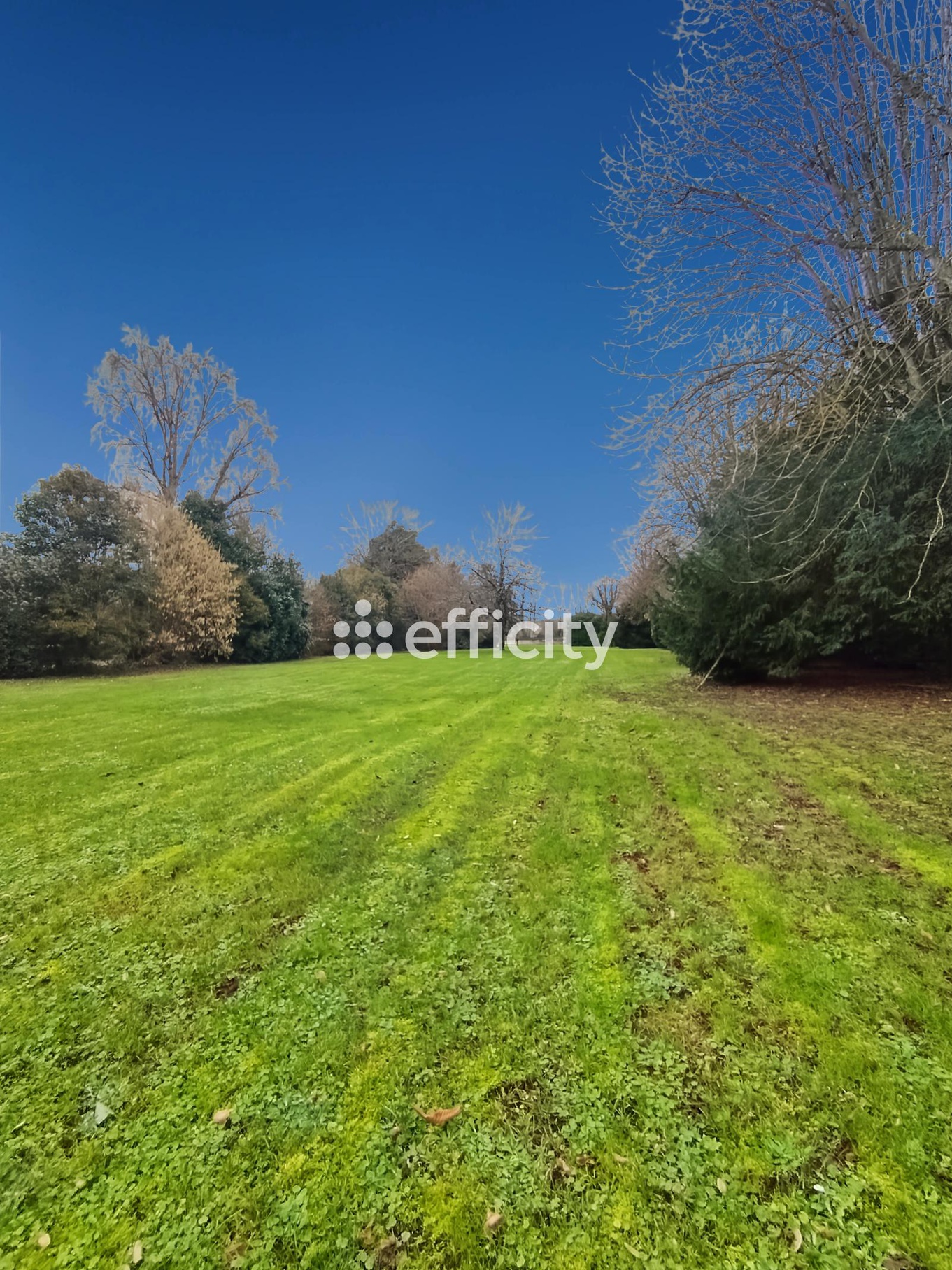 Achat immobilier Maison 15 pièces  425m2 à Réparsac (16200) - Photo n°19