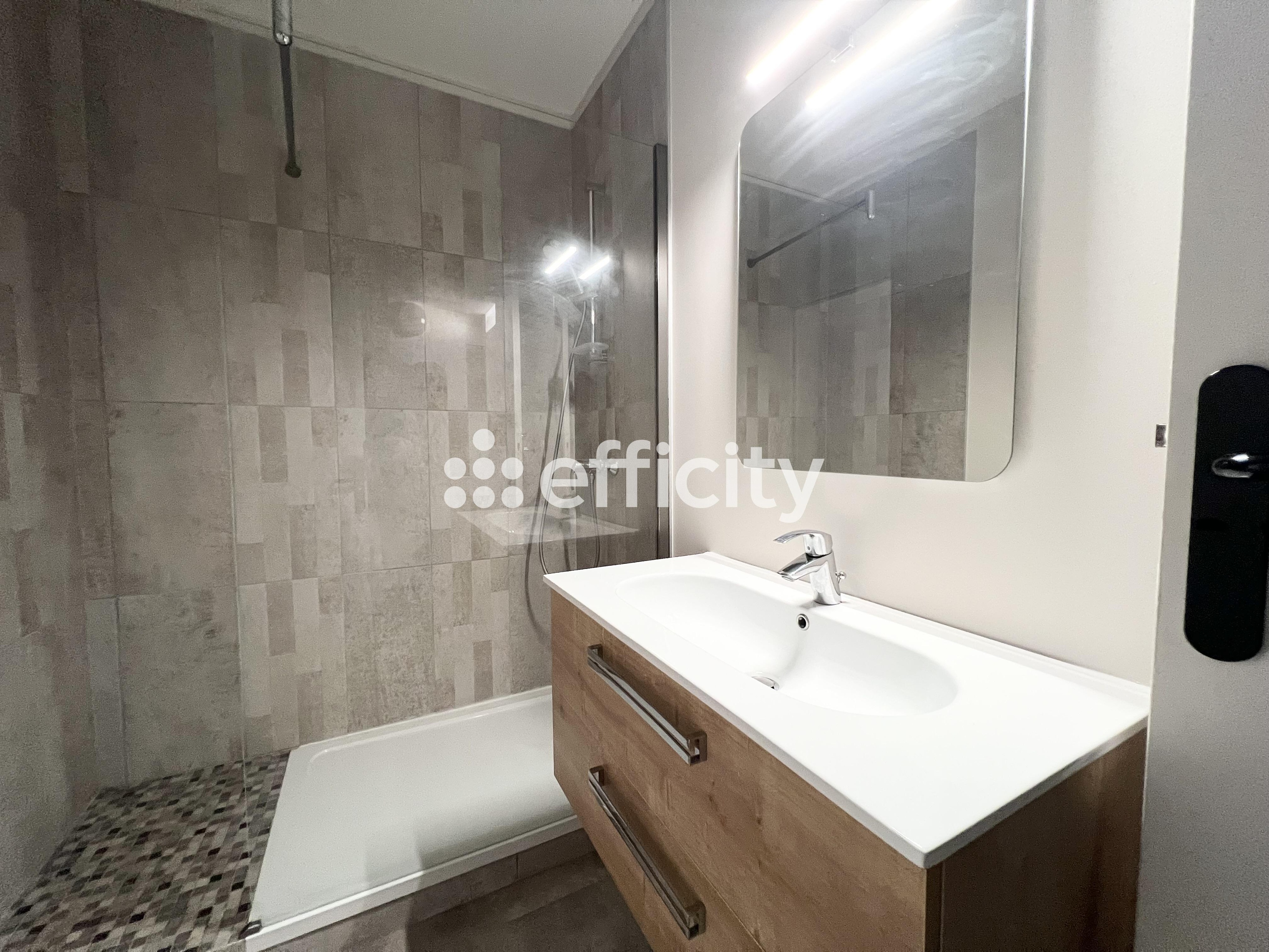 Achat immobilier Immeuble   172m2 à Saint-Cyr-sur-Loire (37540) - Photo n°5