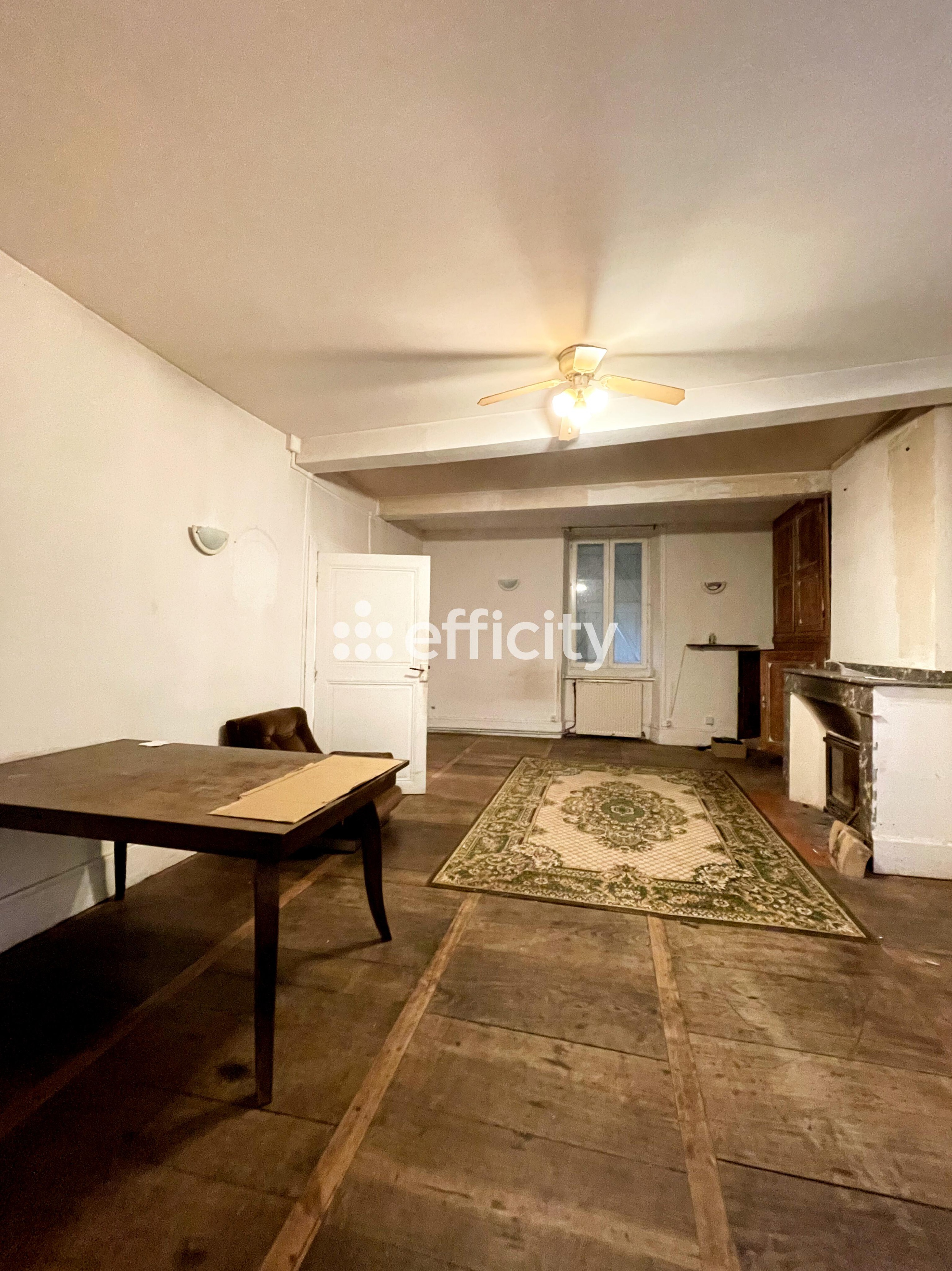 Achat immobilier Maison 6 pièces  300m2 à Les Bordes-sur-Arize (09350) - Photo n°5