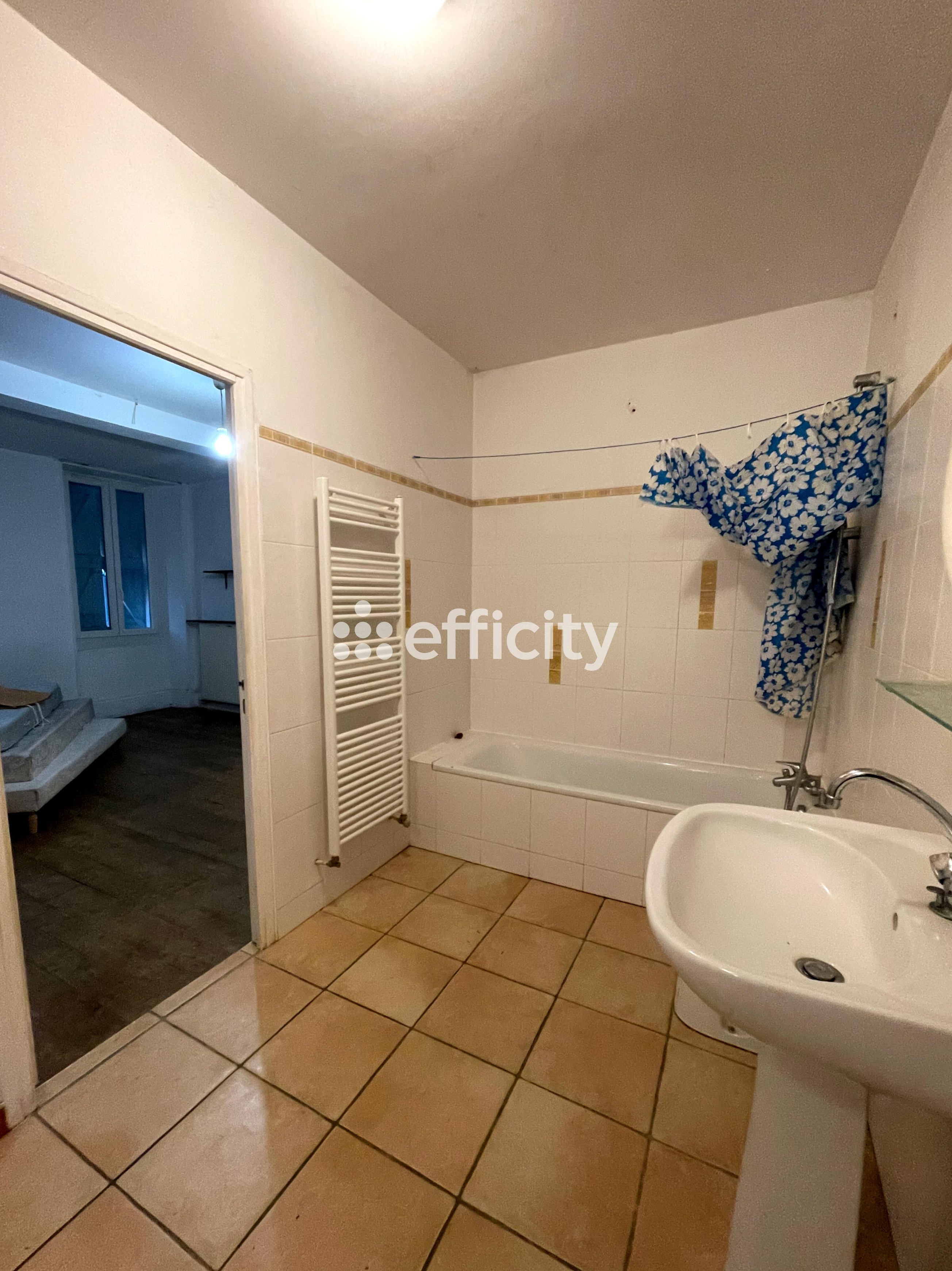 Achat immobilier Maison 6 pièces  300m2 à Les Bordes-sur-Arize (09350) - Photo n°4