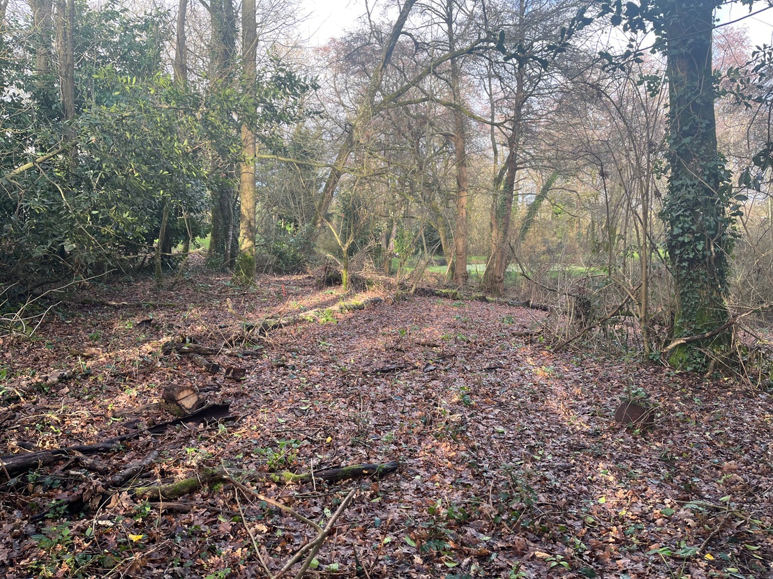 terrain  - 1205,0m2 à Saint-Georges-de-Pointindoux (85150)