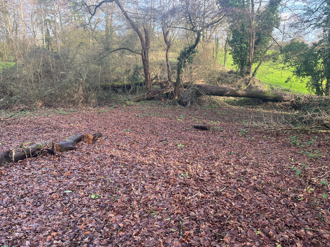 terrain  - 1133m2 à Saint-Georges-de-Pointindoux (85150)