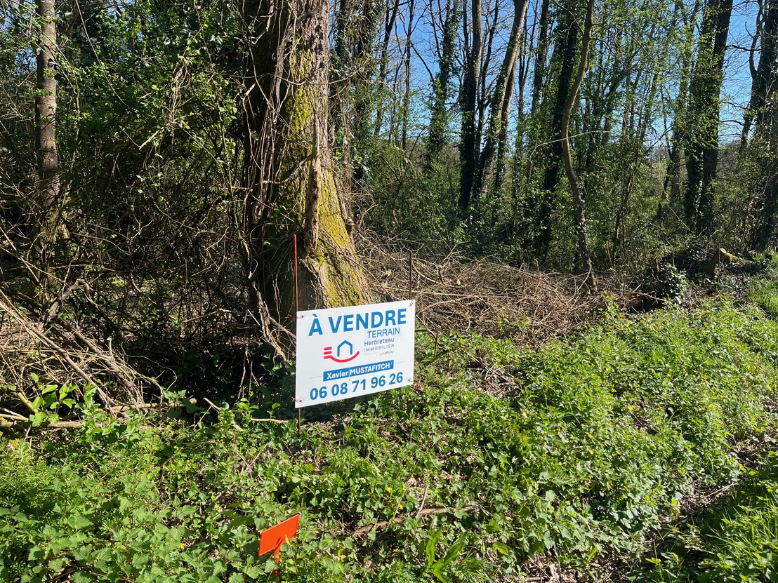 terrain  - 1133,0m2 à Saint-Georges-de-Pointindoux (85150)