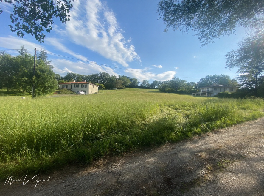 terrain  - 4190,0m2 à Castres (81100)