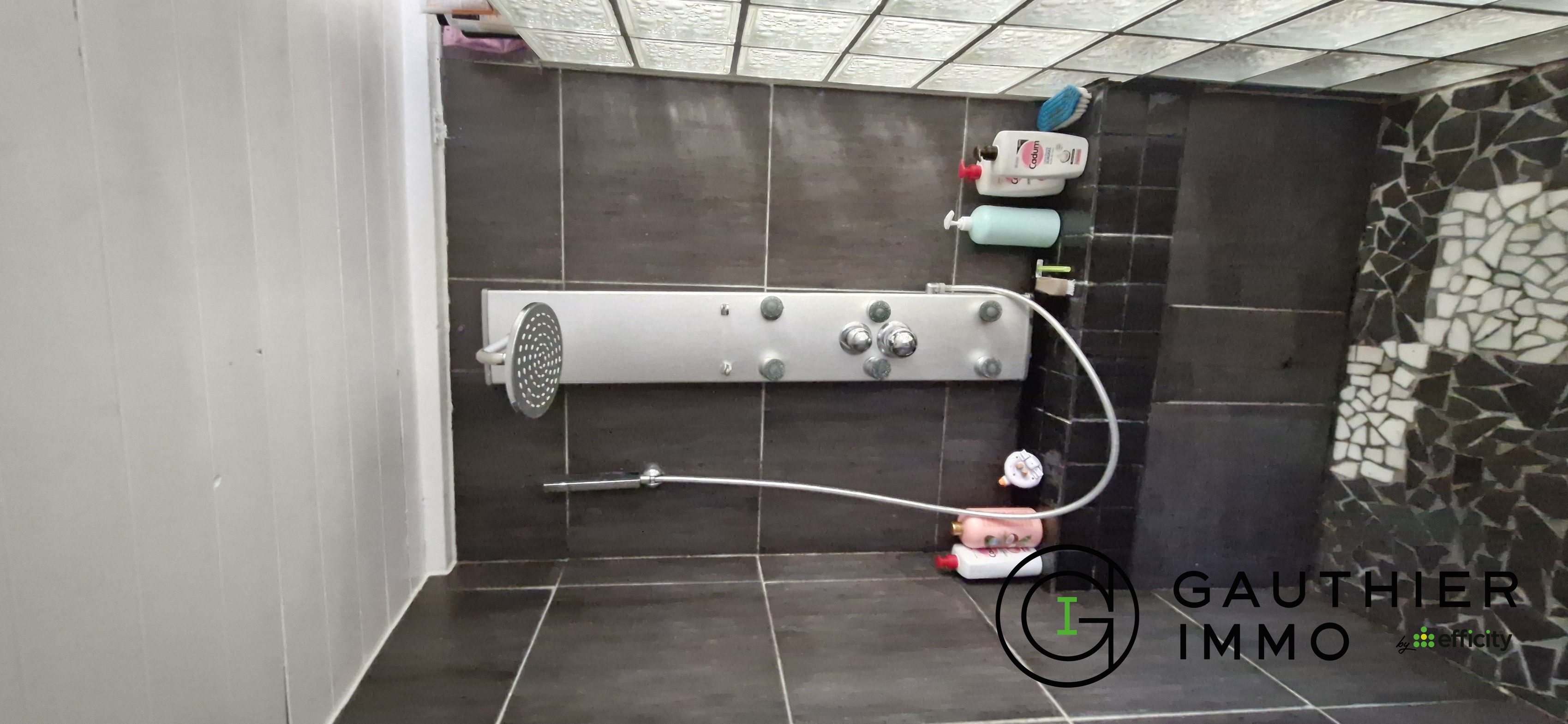 Achat immobilier Maison 3 pièces  68m2 à La Teste-de-Buch (33260) - Photo n°6