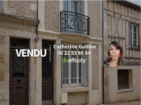 immeuble 12 pièces - 225m2 à Poitiers (86000)