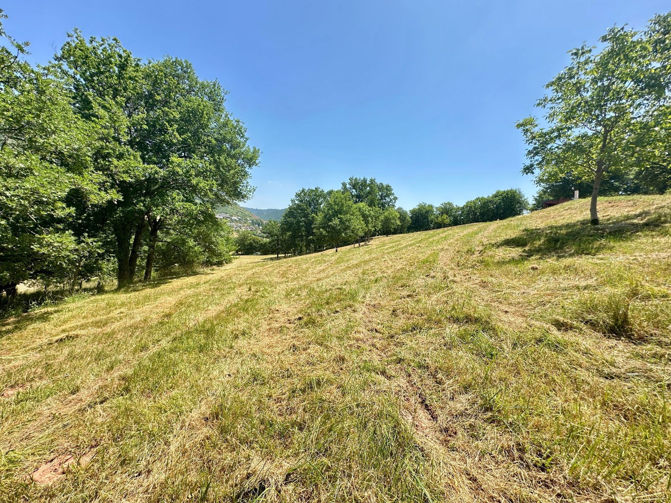 Achat immobilier Terrain   822m2 à Marcillac-Vallon (12330) - Photo n°5