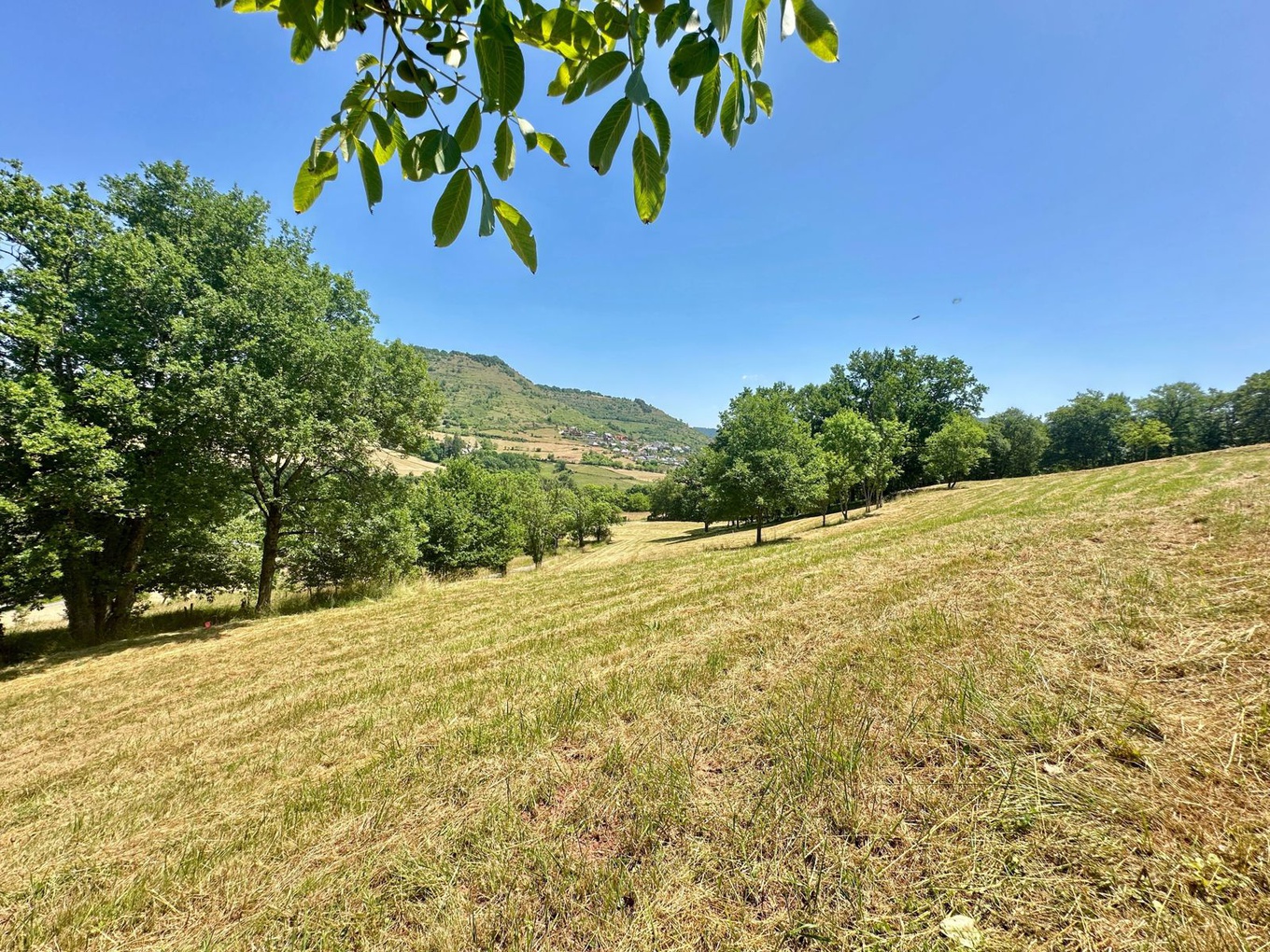 Achat immobilier Terrain   822m2 à Marcillac-Vallon (12330) - Photo n°4