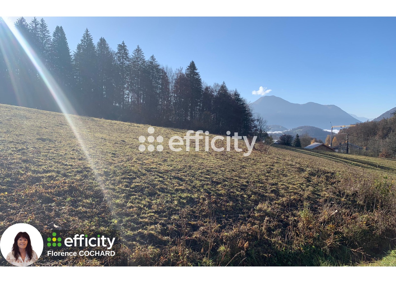terrain  - 1249,0m2 à Onnion (74490)