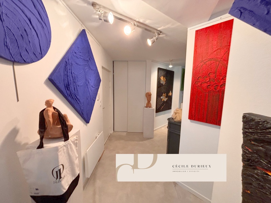 appartement 2 pièces - 55m2 à Caluire-et-Cuire (69300)