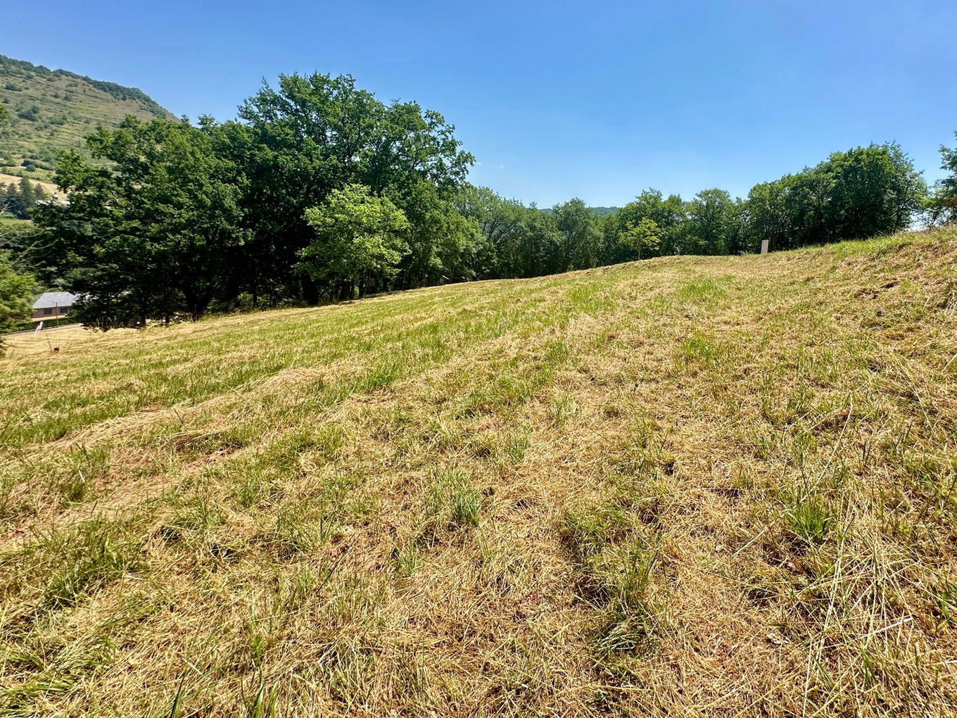 Achat immobilier Terrain   836m2 à Marcillac-Vallon (12330) - Photo n°5