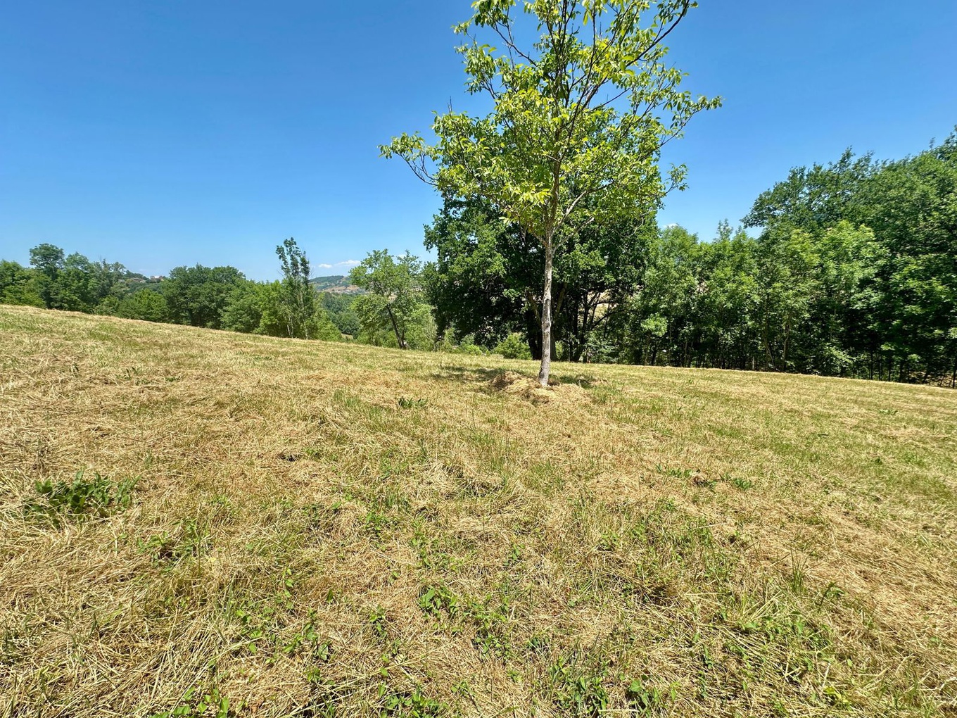 Achat immobilier Terrain   934m2 à Marcillac-Vallon (12330) - Photo n°6