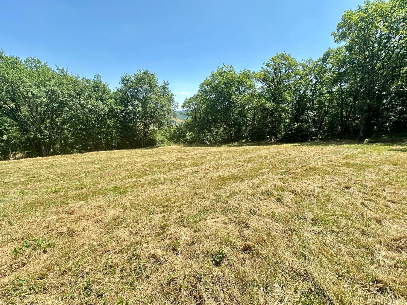 Achat immobilier Terrain   934m2 à Marcillac-Vallon (12330) - Photo n°5