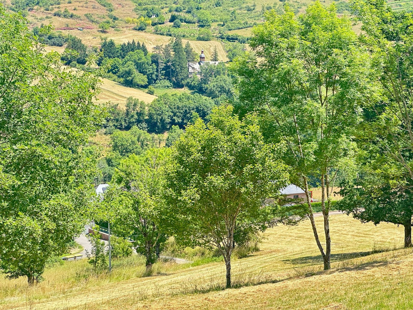 Achat immobilier Terrain   814m2 à Marcillac-Vallon (12330) - Photo n°4