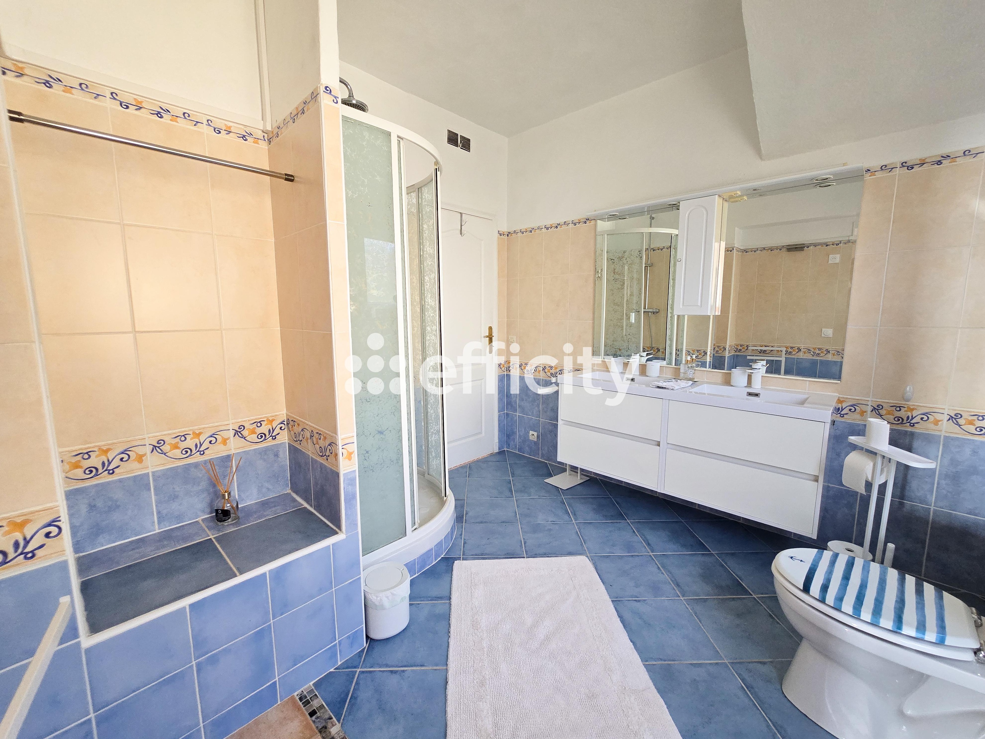 Achat immobilier Maison 6 pièces  250m2 à Grasse (06130) - Photo n°11
