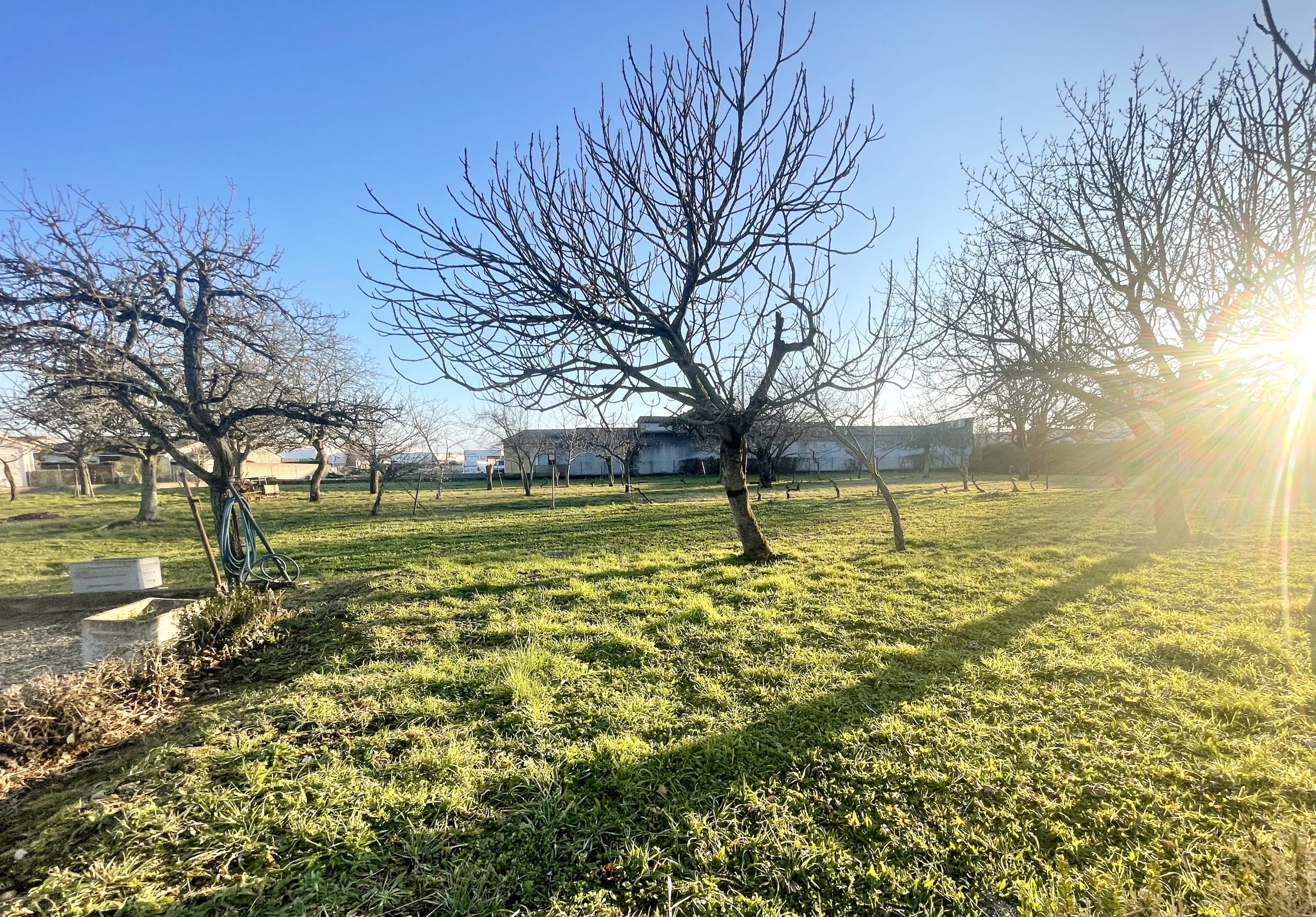 Achat immobilier Maison 5 pièces  96m2 à Pamiers (09100) - Photo n°9