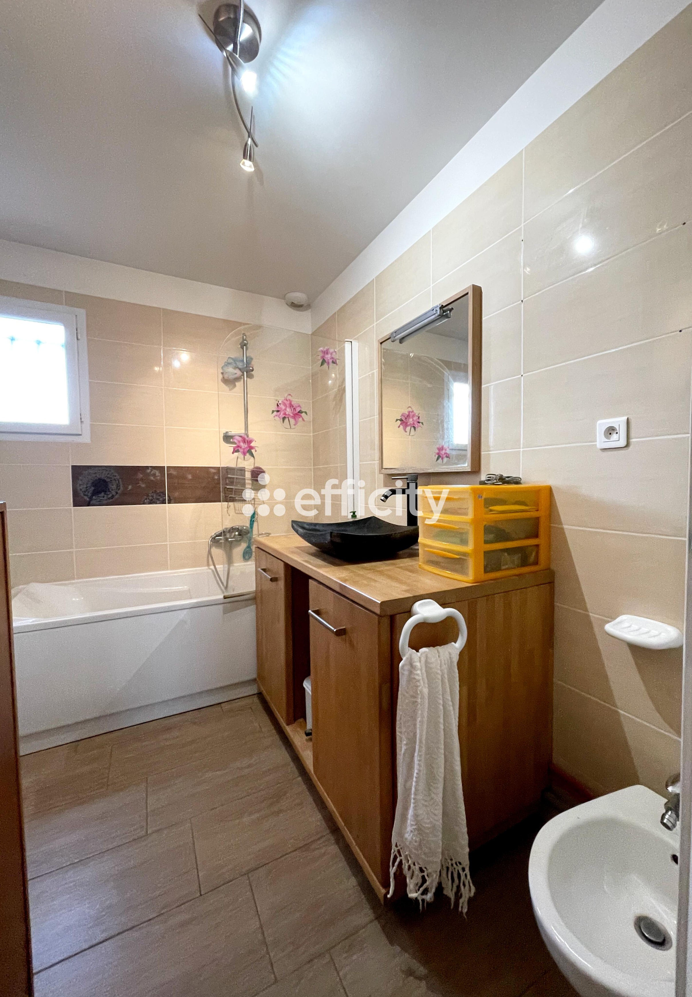 Achat immobilier Maison 4 pièces  96m2 à Saint-Jean-du-Falga (09100) - Photo n°6