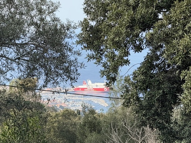 Achat immobilier Maison 7 pièces  160m2 à Viggianello (20110) - Photo n°13